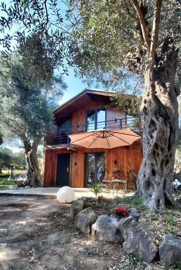Coratina Cottage Ulcinj Extérieur photo